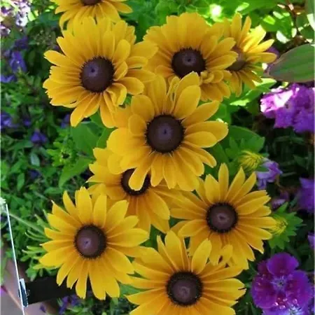 Aparrtment Apartament Burgas